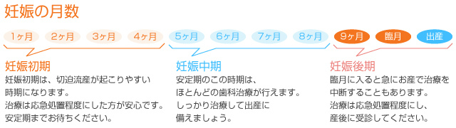 妊娠月数